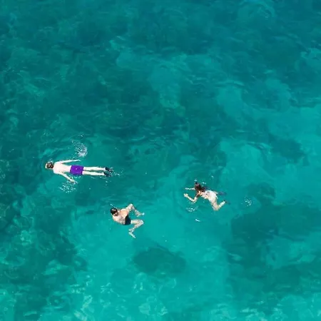 Matisse-bozzi 59 Apartment *